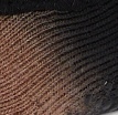 clove ombre swatch