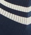 swatch indigo stripe